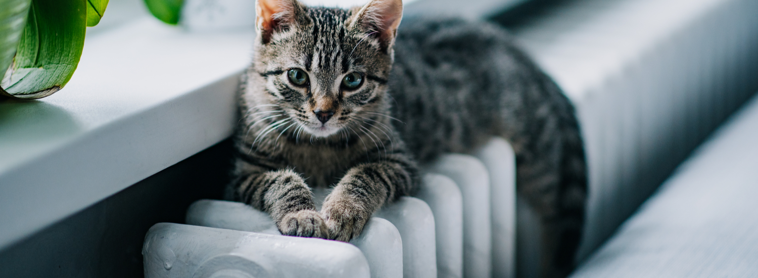 Boiler Cover Ramsbottom  